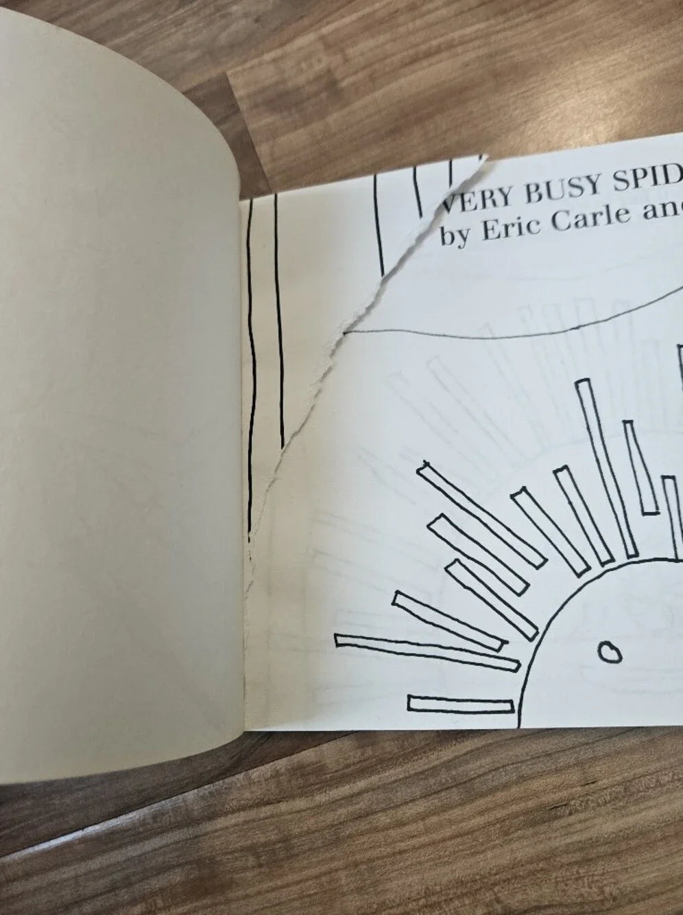 My Own Very Busy Spider Coloring Book - Multicolor